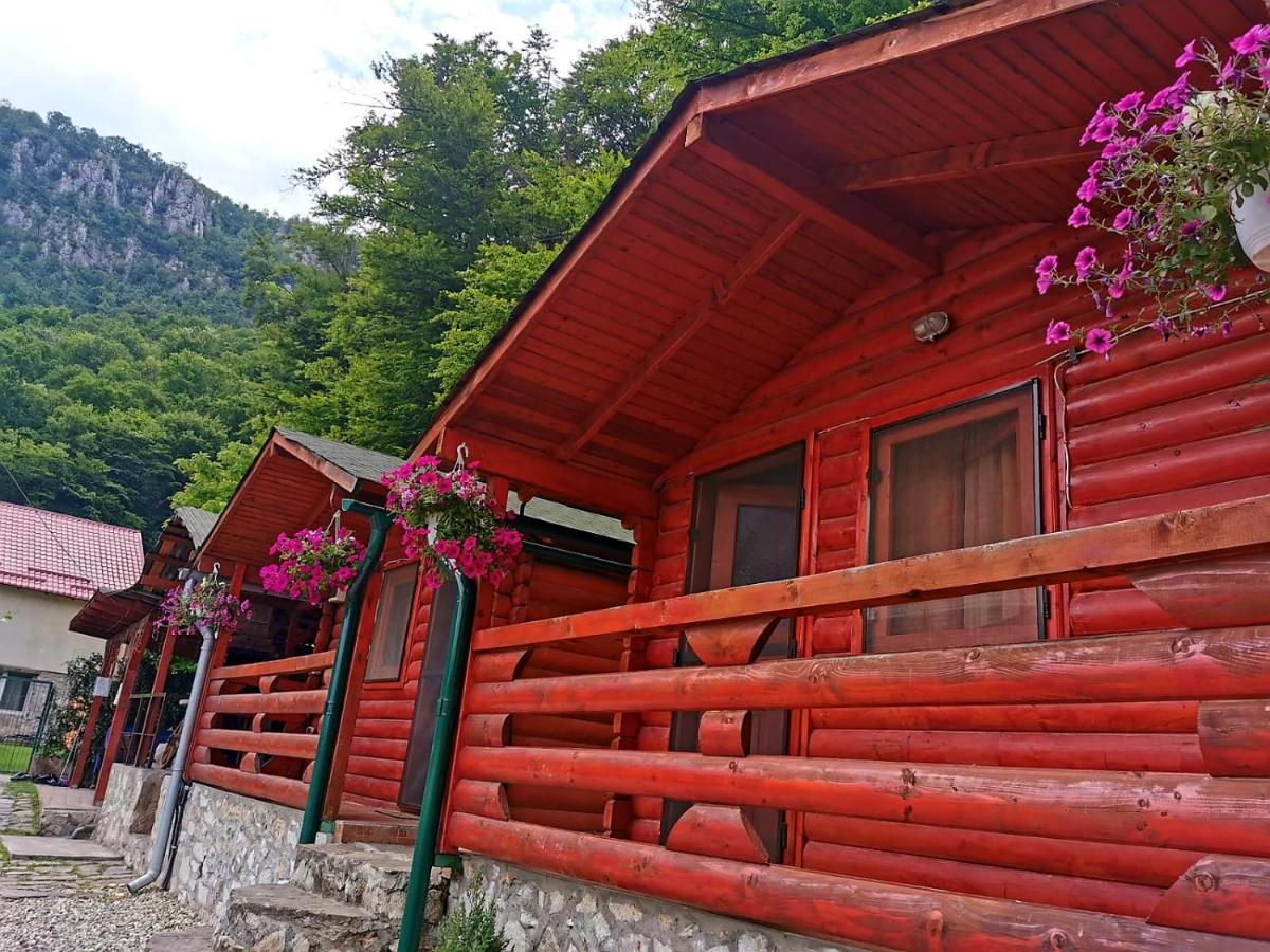 두보바 Casa Beasarah. 빌라 외부 사진